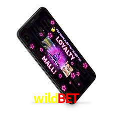 Welcome Bonus wildbet