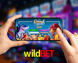Daily Bonuses wildbet