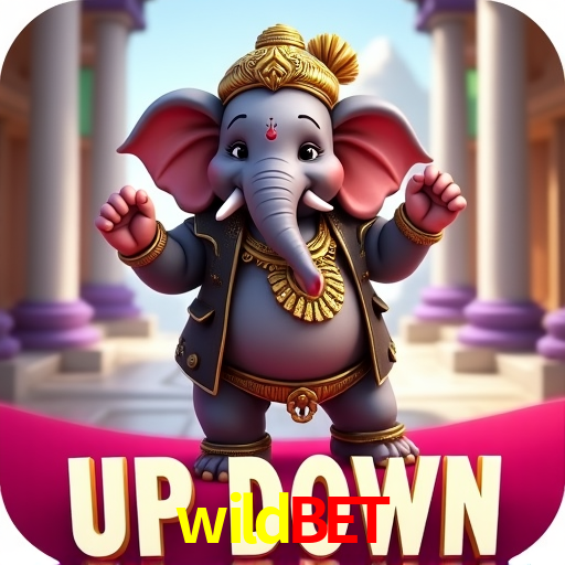 Interface Premium wildbet