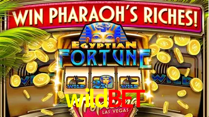Estatísticas do Jogo wildbet