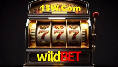 Sistemas de Segurança wildbet