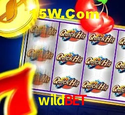Integração de APIs wildbet