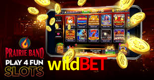 Programa VIP wildbet