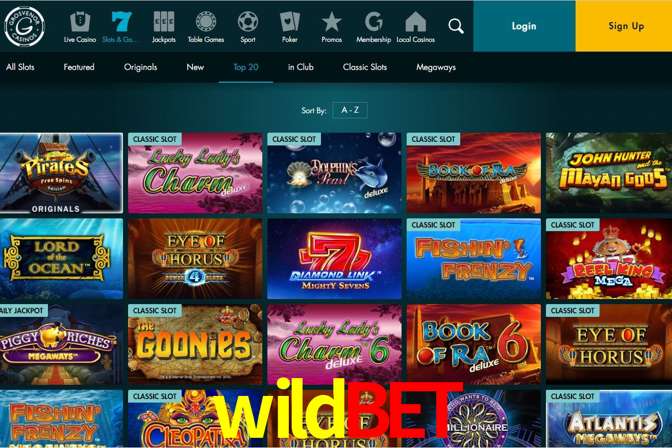 Tennis Betting wildbet
