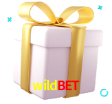 Receba seus bônus de boas-vindas no wildbet