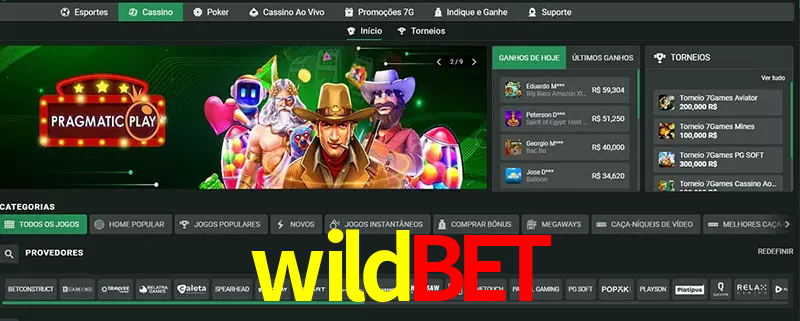 cassino wildbet