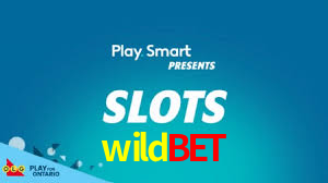 Bônus Generosos e Exclusivos no wildbet para Você!