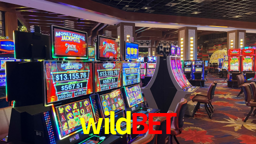 wildbet,wildbet.com
